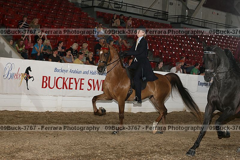 Proof 09buck-3767