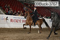 09buck-3767 proof