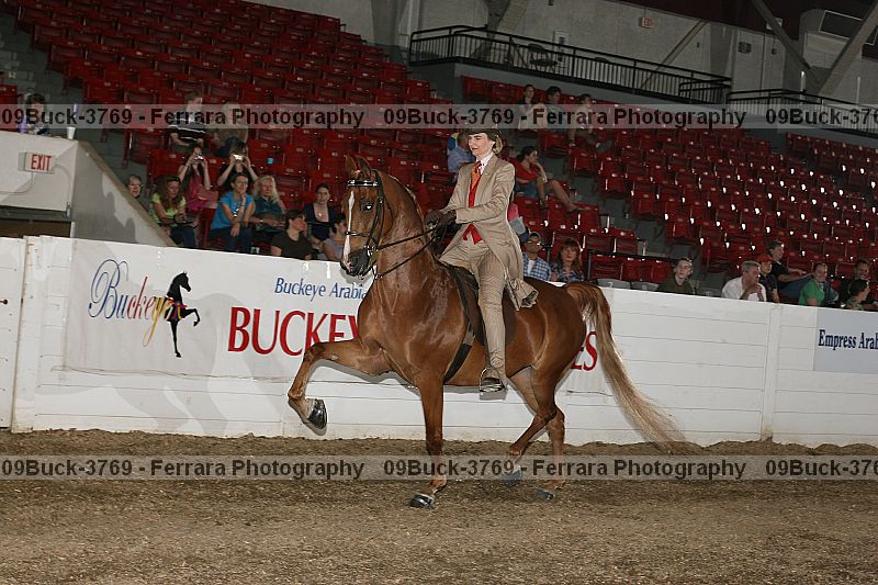 Proof 09buck-3769