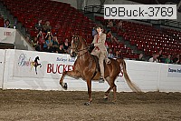 09buck-3769 proof