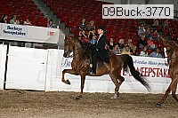 09buck-3770 proof