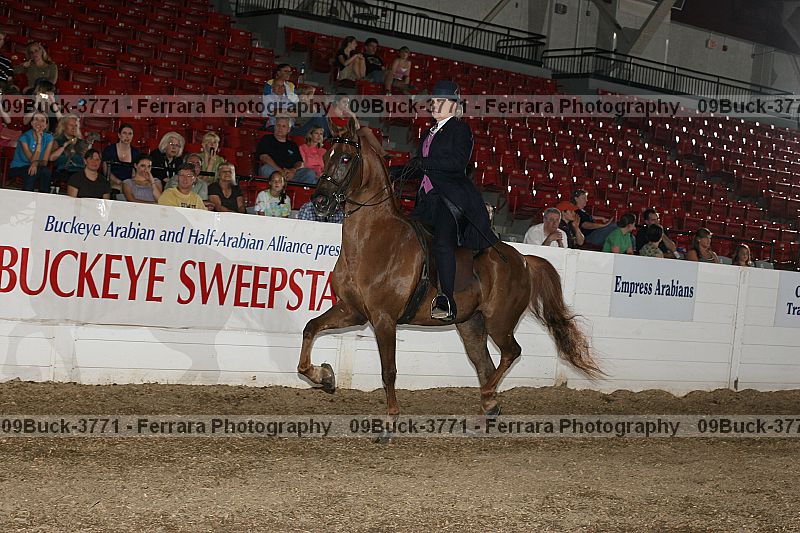 Proof 09buck-3771