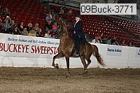 09buck-3771 proof