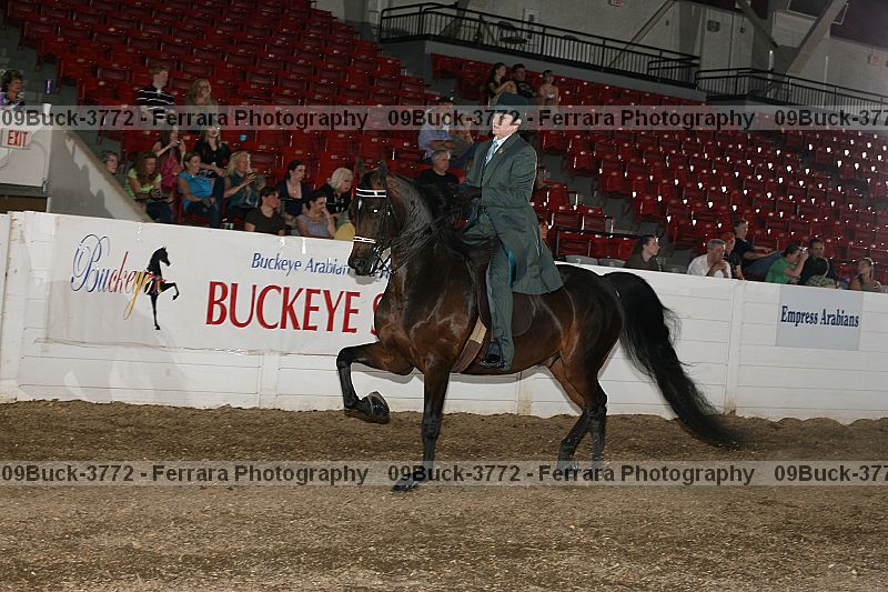 Proof 09buck-3772