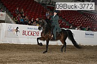 09buck-3772 proof