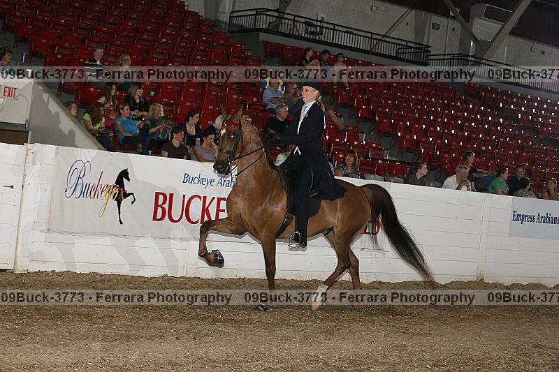 Proof 09buck-3773