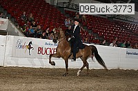 09buck-3773 proof