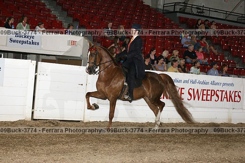Proof 09buck-3774