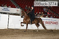 09buck-3774 proof