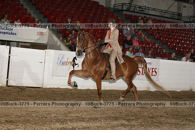 Proof 09buck-3775