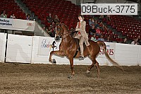09buck-3775 proof