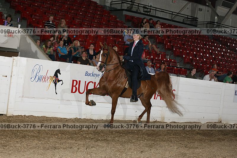 Proof 09buck-3776