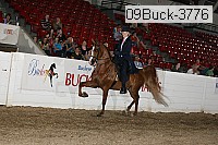 09buck-3776 proof