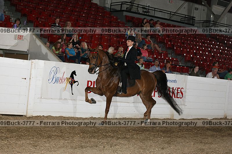 Proof 09buck-3777