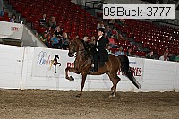 09buck-3777 proof