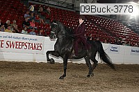 09buck-3778 proof