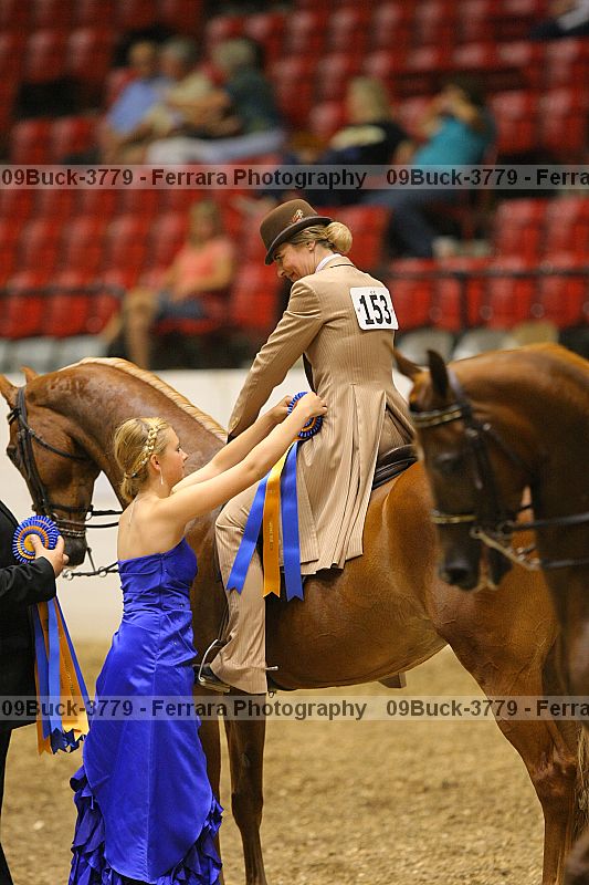 Proof 09buck-3779