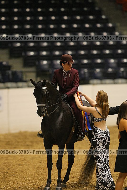 Proof 09buck-3783