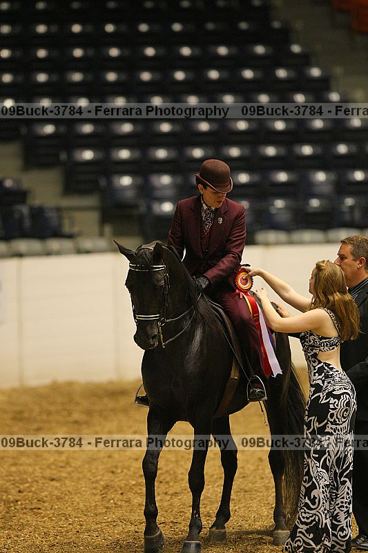 Proof 09buck-3784