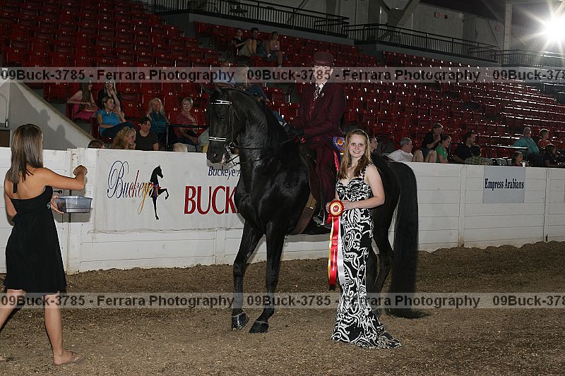 Proof 09buck-3785