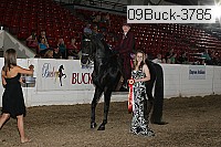 09buck-3785 proof