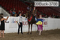 09buck-3788 proof