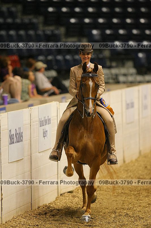 Proof 09buck-3790