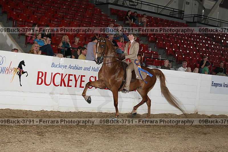 Proof 09buck-3791