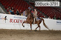 09buck-3791 proof