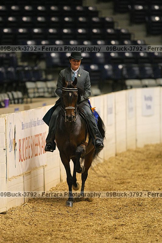 Proof 09buck-3792