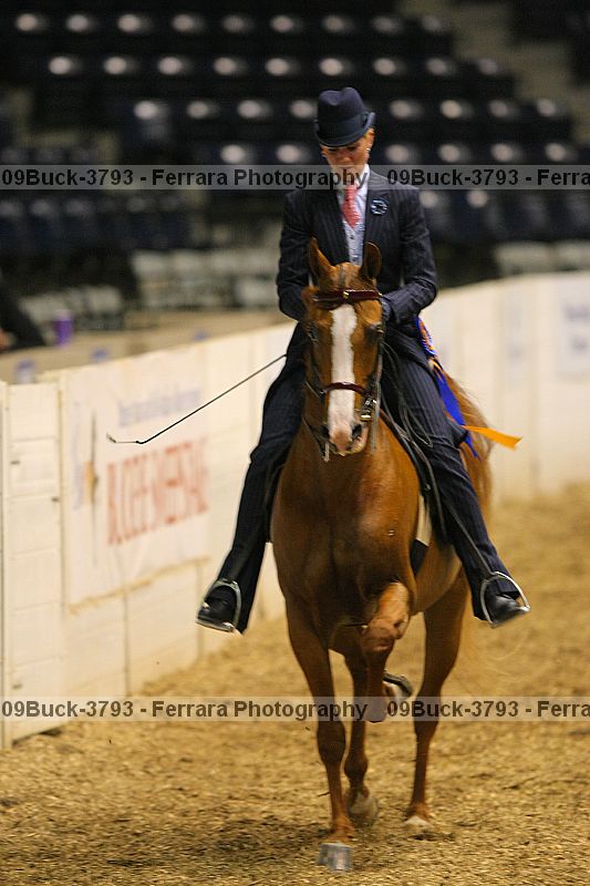 Proof 09buck-3793