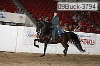 09buck-3794 proof