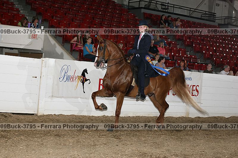 Proof 09buck-3795