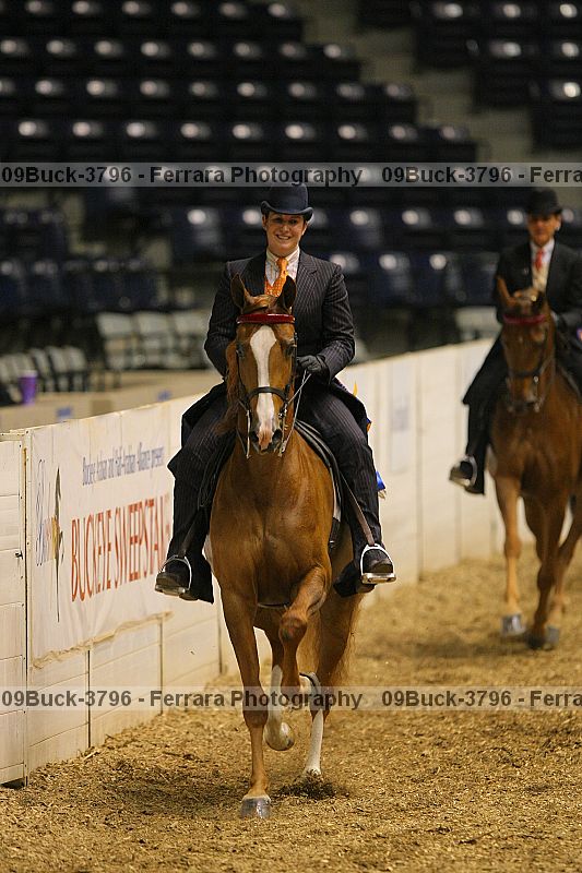Proof 09buck-3796