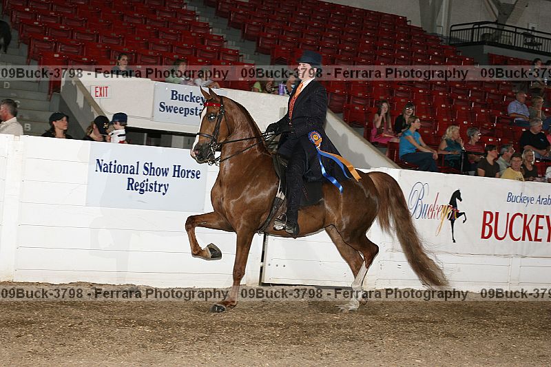 Proof 09buck-3798