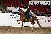 09buck-3798 proof
