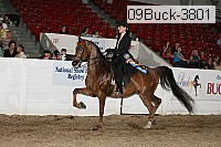 09buck-3801 proof