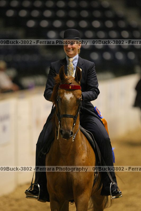 Proof 09buck-3802