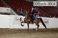 09buck-3804 proof