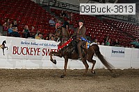09buck-3813 proof