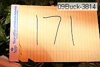 09buck-3814 proof