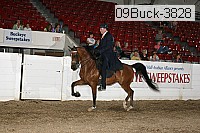 09buck-3828 proof
