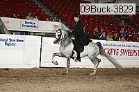 09buck-3829 proof
