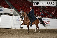 09buck-3832 proof