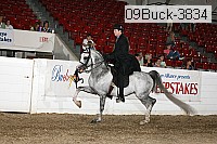 09buck-3834 proof