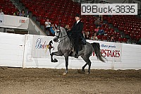 09buck-3835 proof
