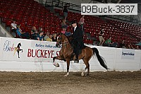 09buck-3837 proof