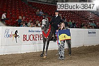 09buck-3847 proof