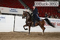 09buck-3850 proof