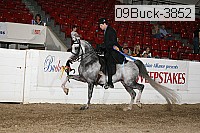 09buck-3852 proof